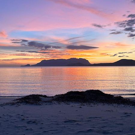 Villa ROSA DEI VENTI - CASA MAESTRALE - Sardegna Olbia Esterno foto