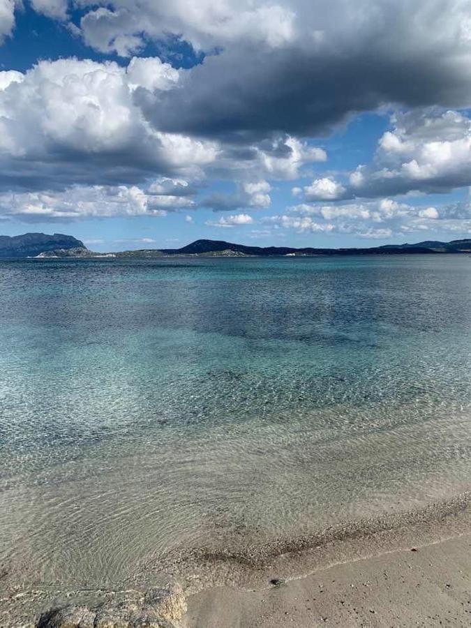 Villa ROSA DEI VENTI - CASA MAESTRALE - Sardegna Olbia Esterno foto