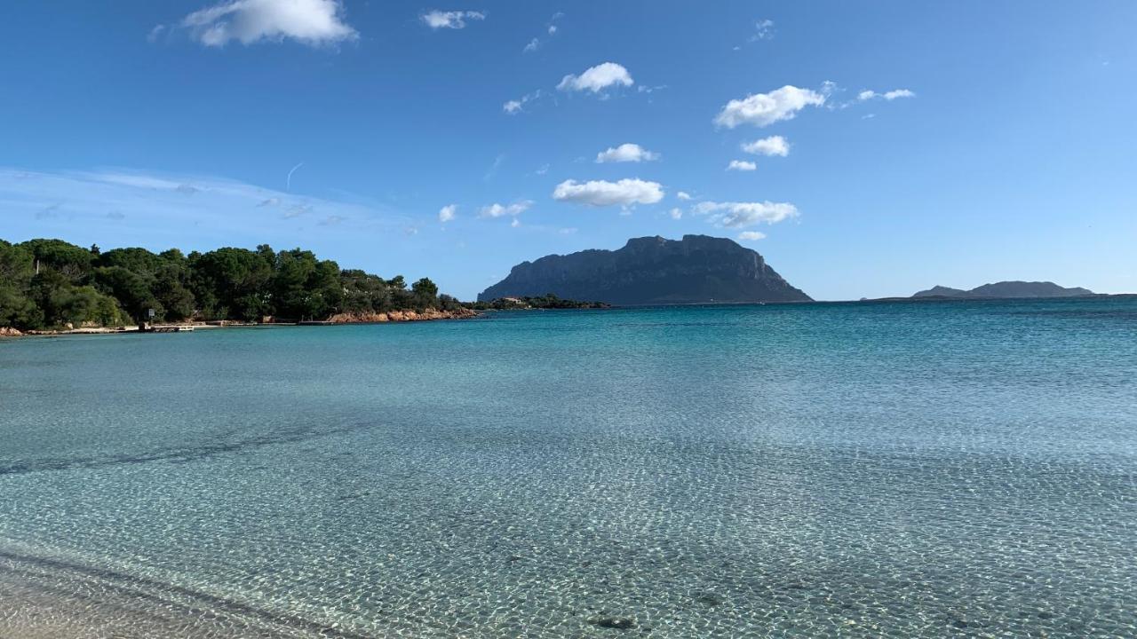 Villa ROSA DEI VENTI - CASA MAESTRALE - Sardegna Olbia Esterno foto